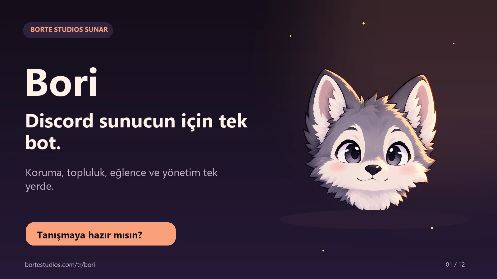 01-kapak.webp