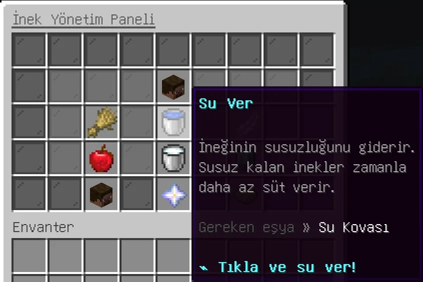 10.webp