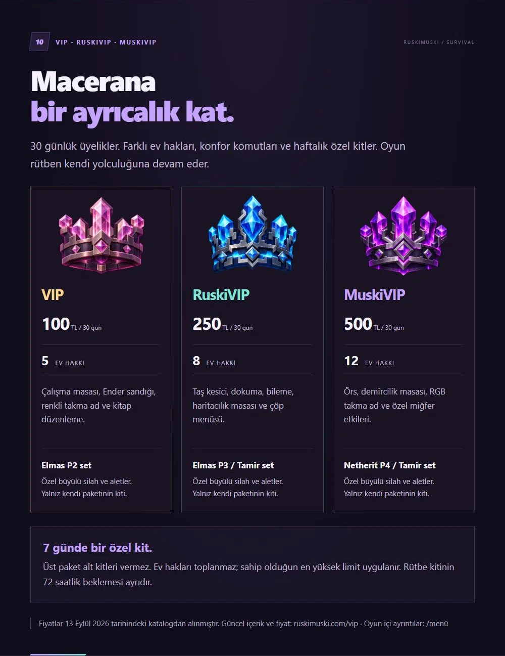11-vip.webp
