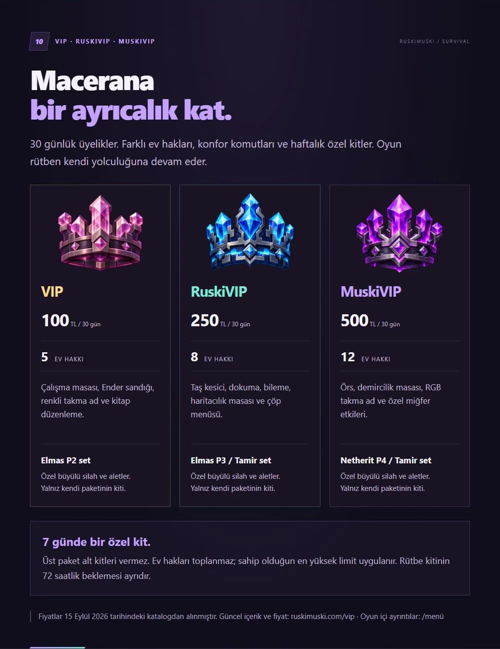 11-vip.webp