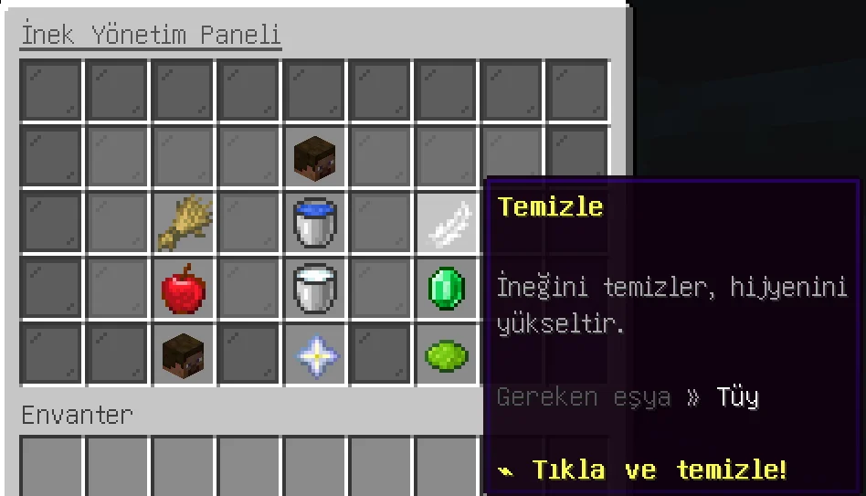 11.webp