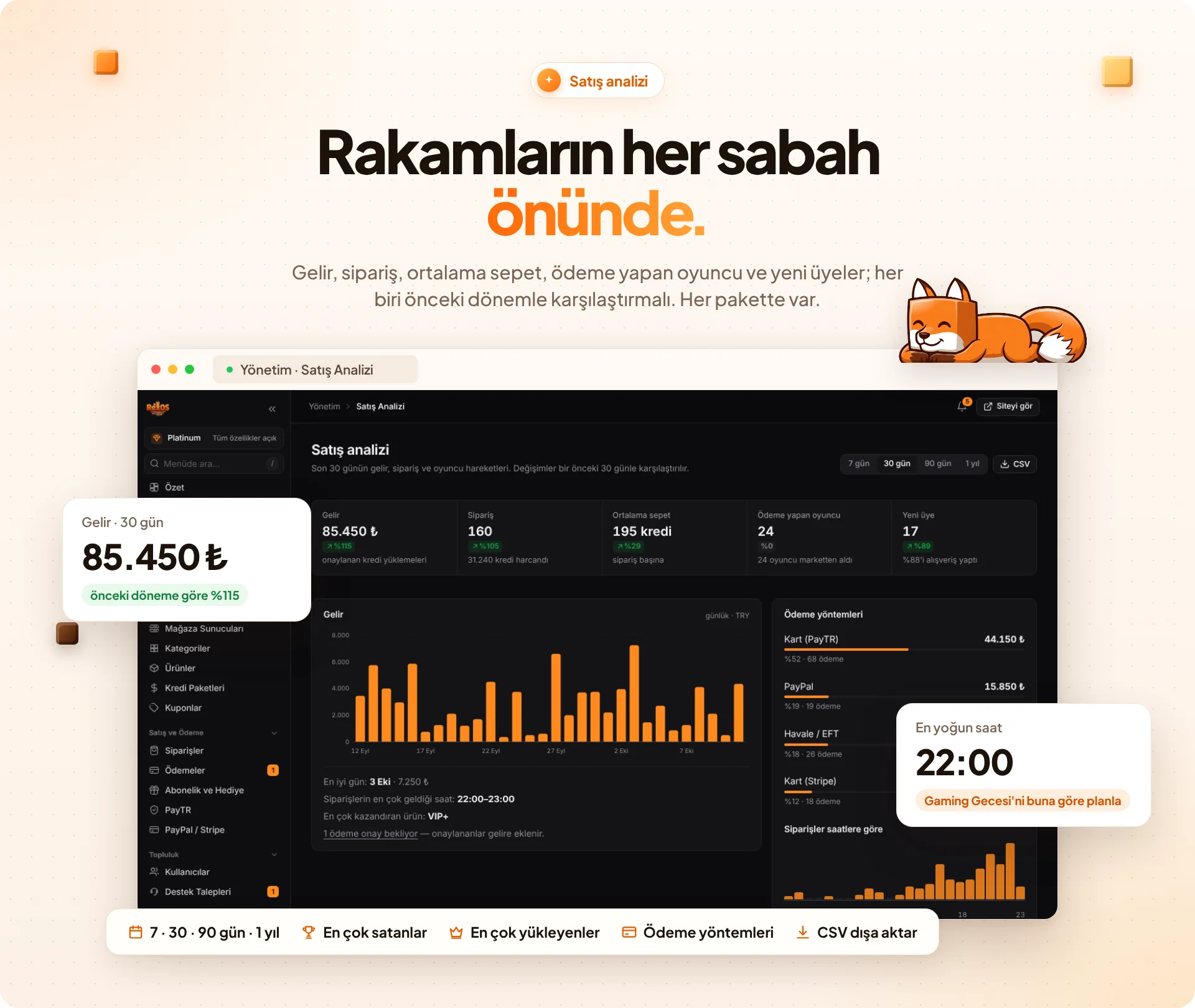 11_satis_analizi.webp