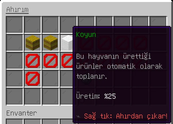 12.webp