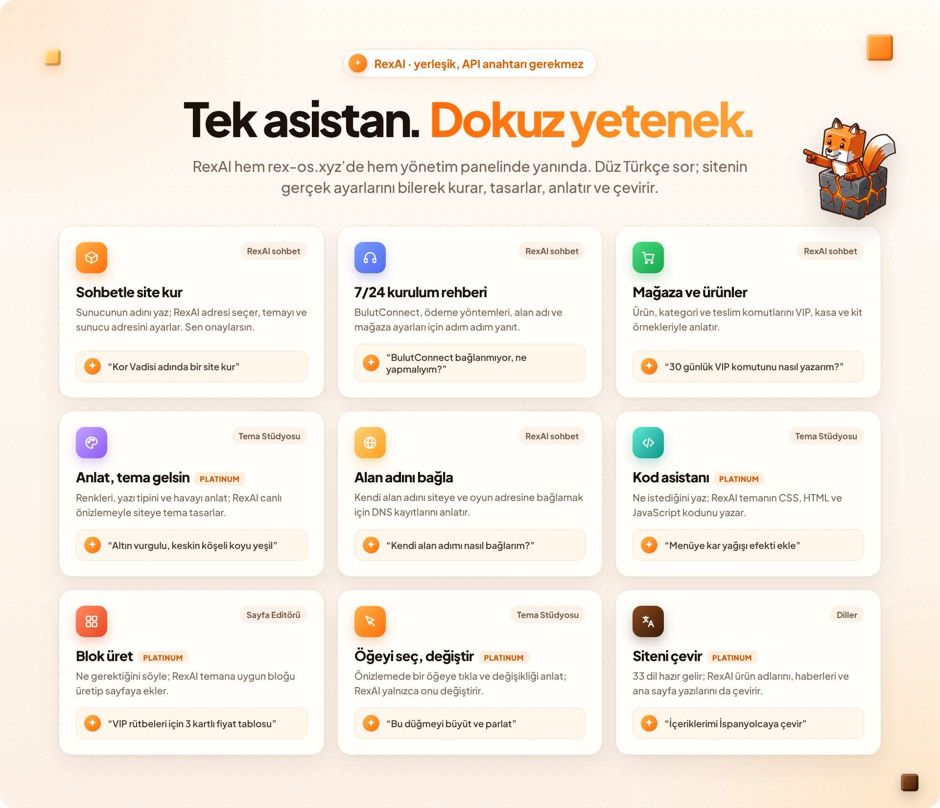 12_rexai.webp