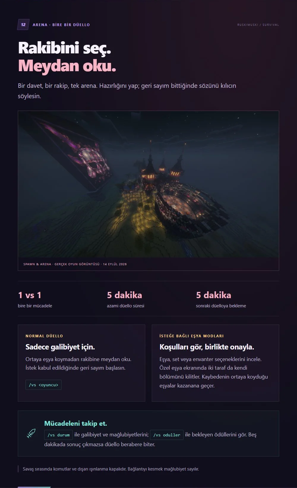 13-arena.webp