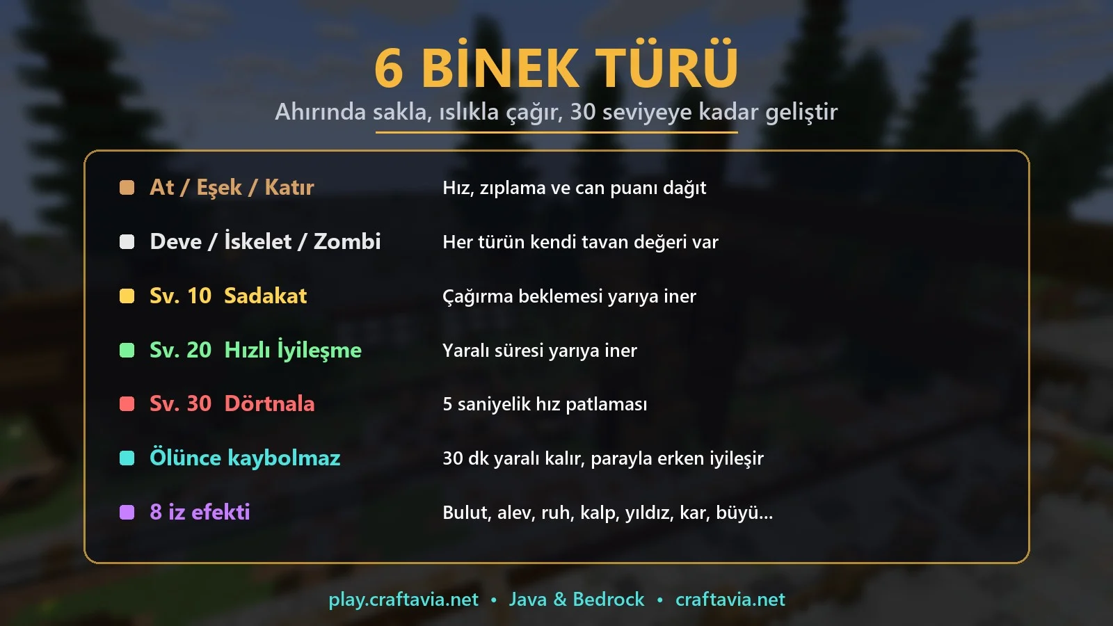 13-binekler.webp