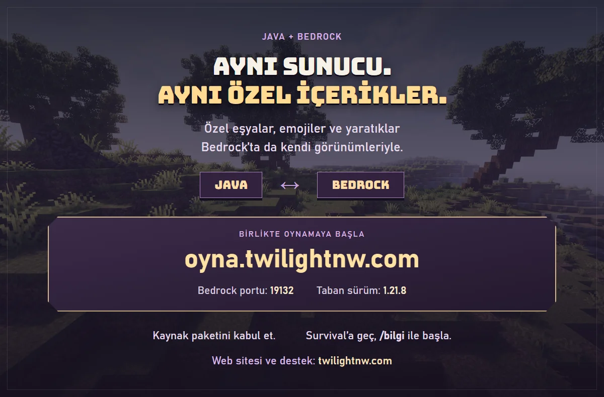 13-java-bedrock.webp