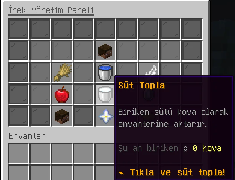 13.webp