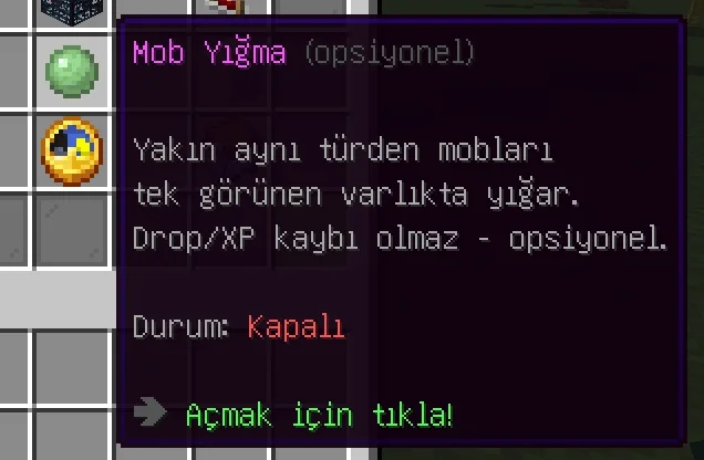 13.webp