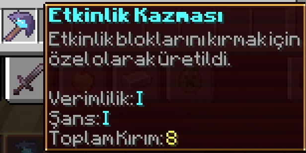 13.webp