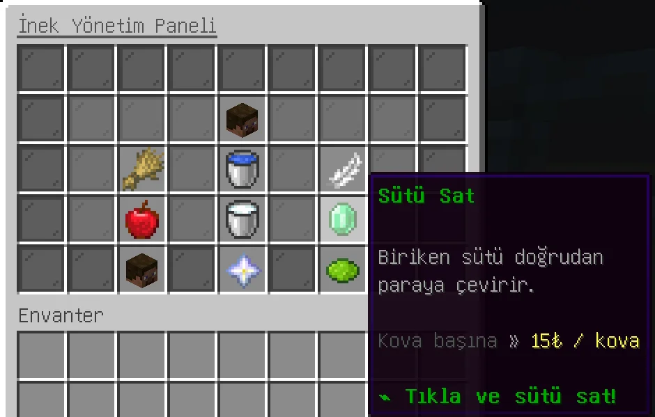 14.webp