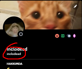 1686581799126.png
