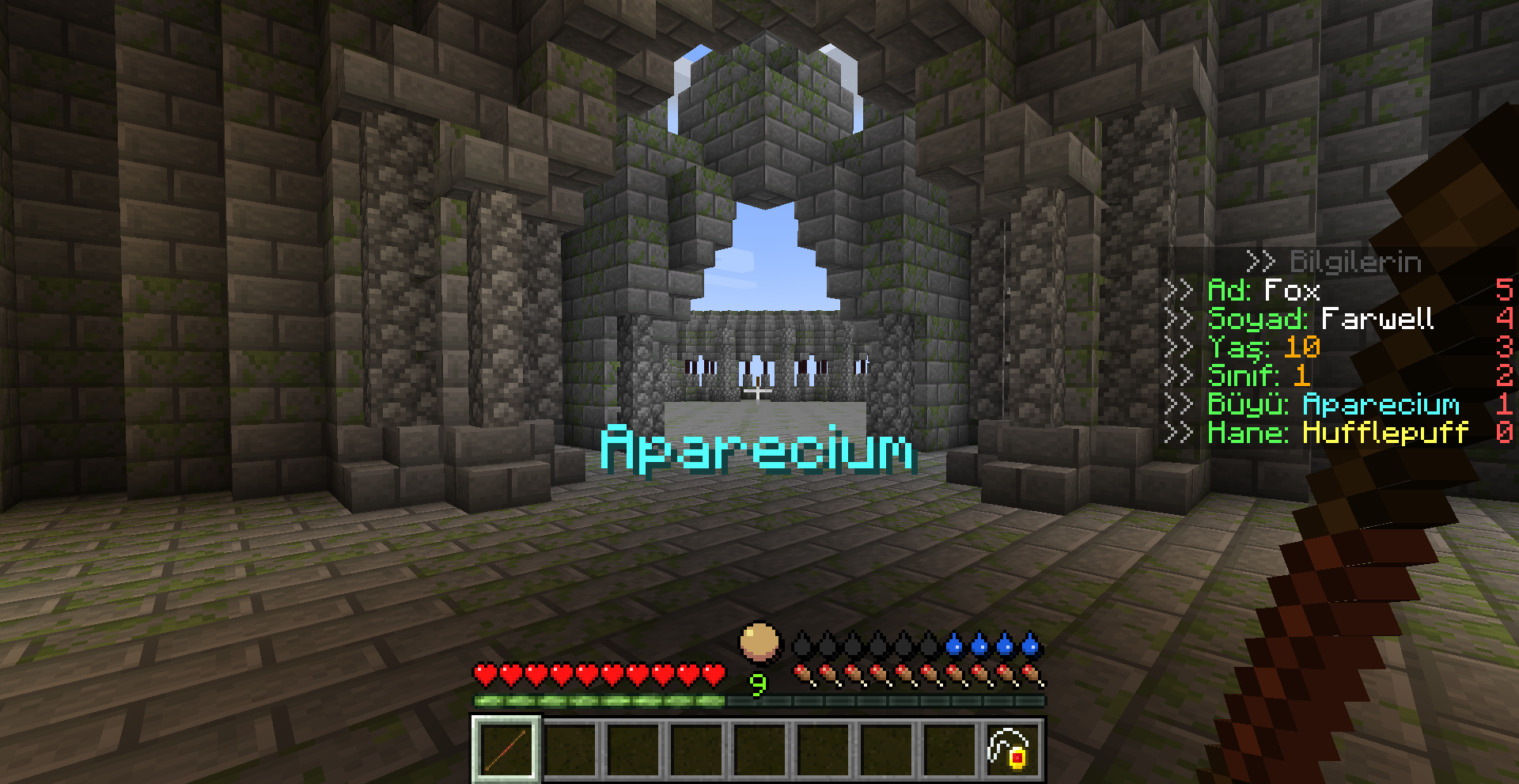 17.png