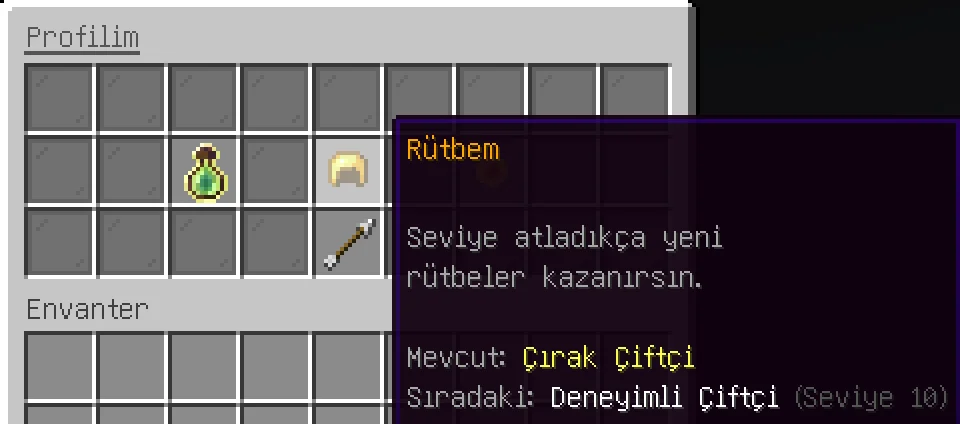 17.webp