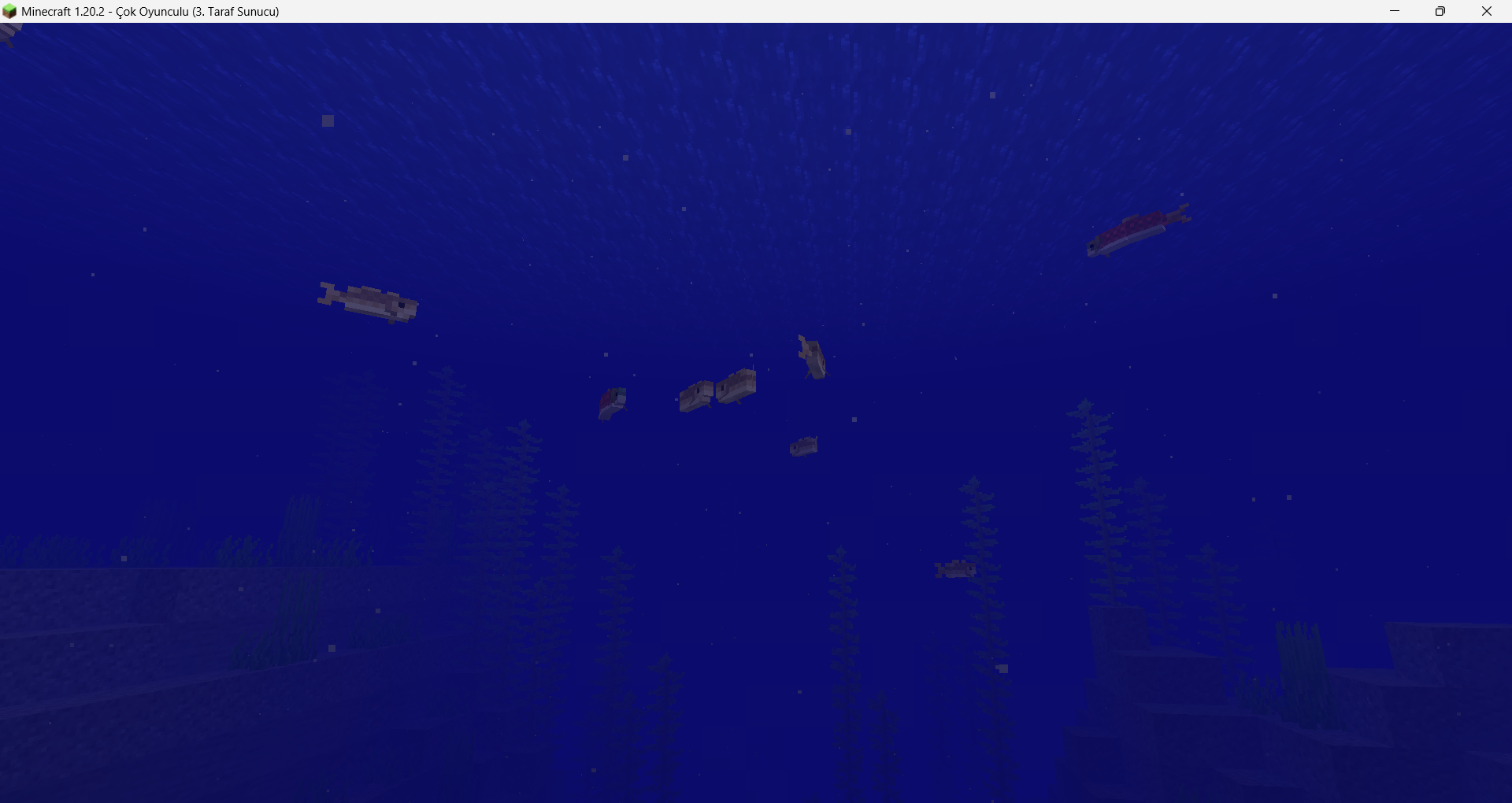 1708891068530.png