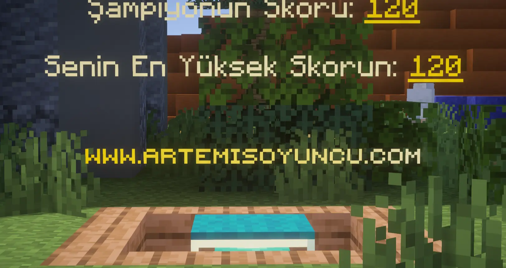 1737622749380.webp