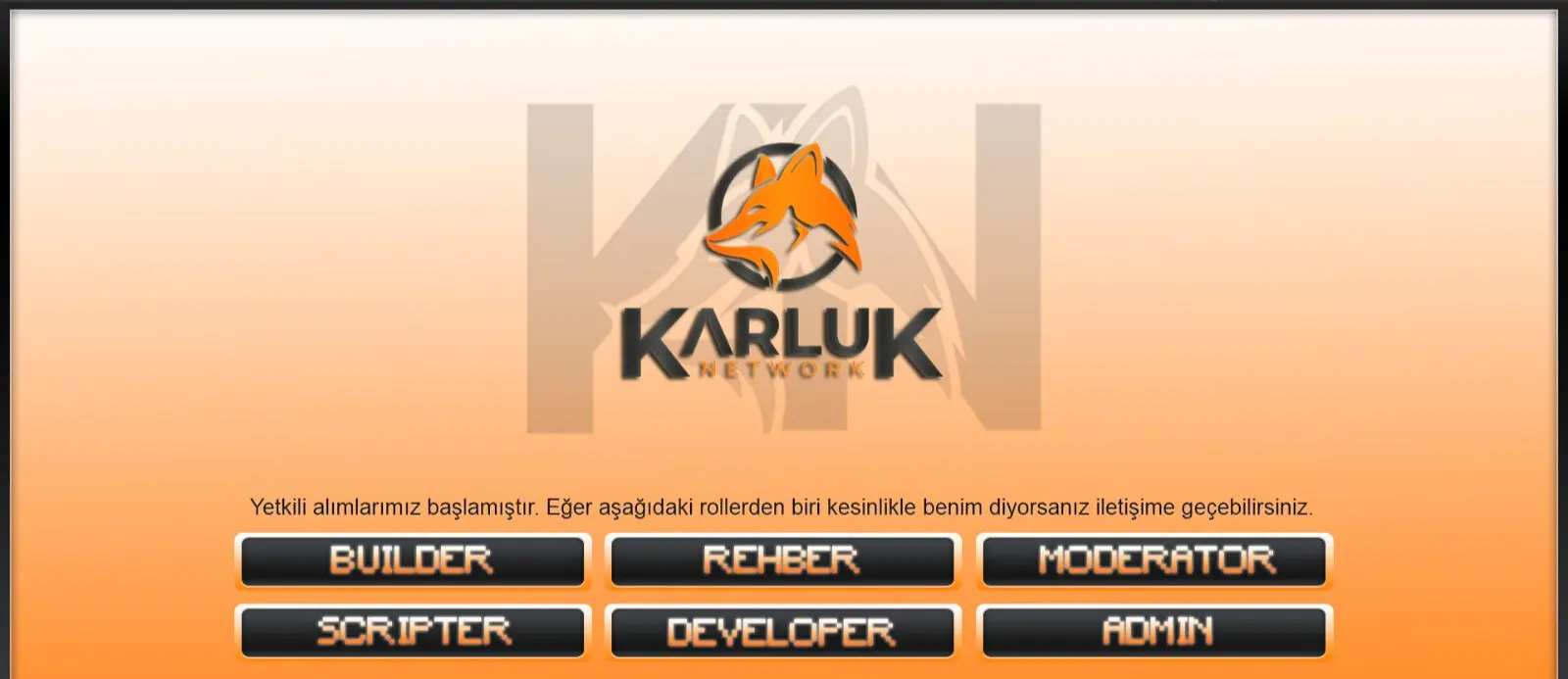 1743261043649.webp