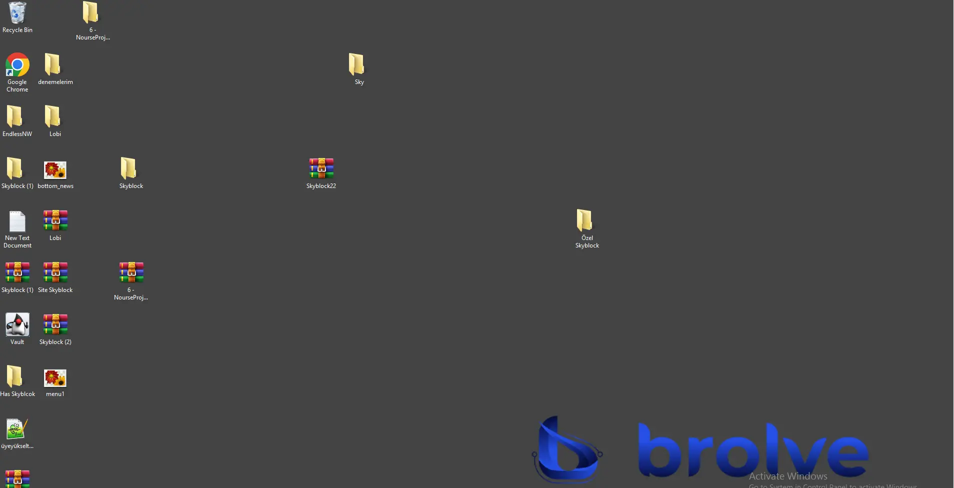 1743939415727.webp