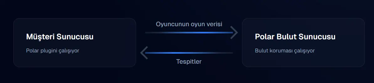 1745765731137.webp