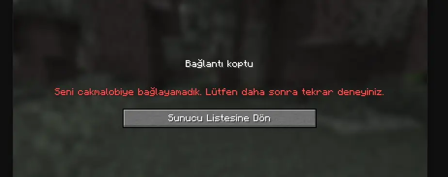 1746616515486.webp