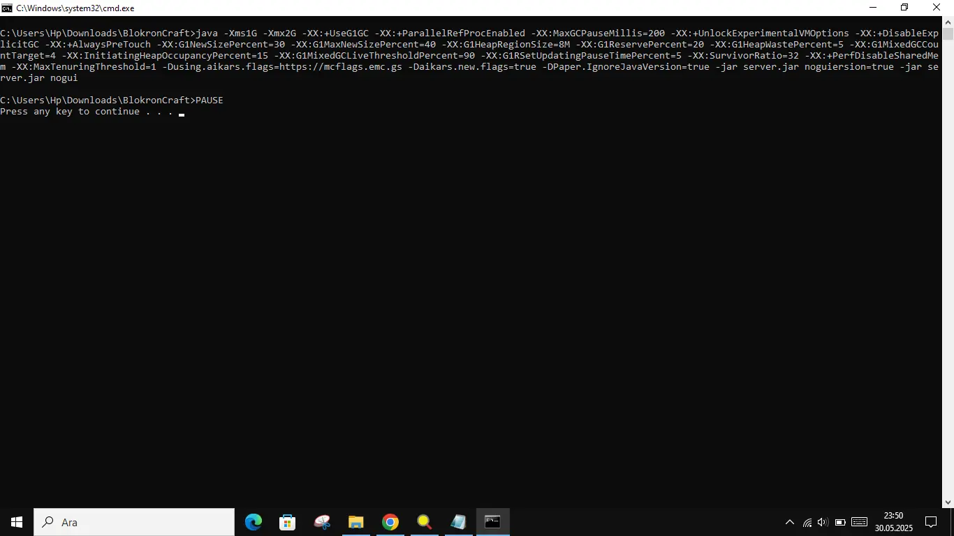 1748638243459.webp