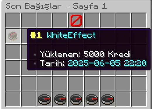 1750455763743.webp