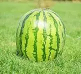 1751416641974.webp