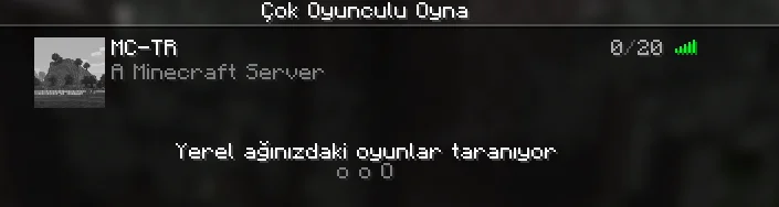 1754213061520.webp