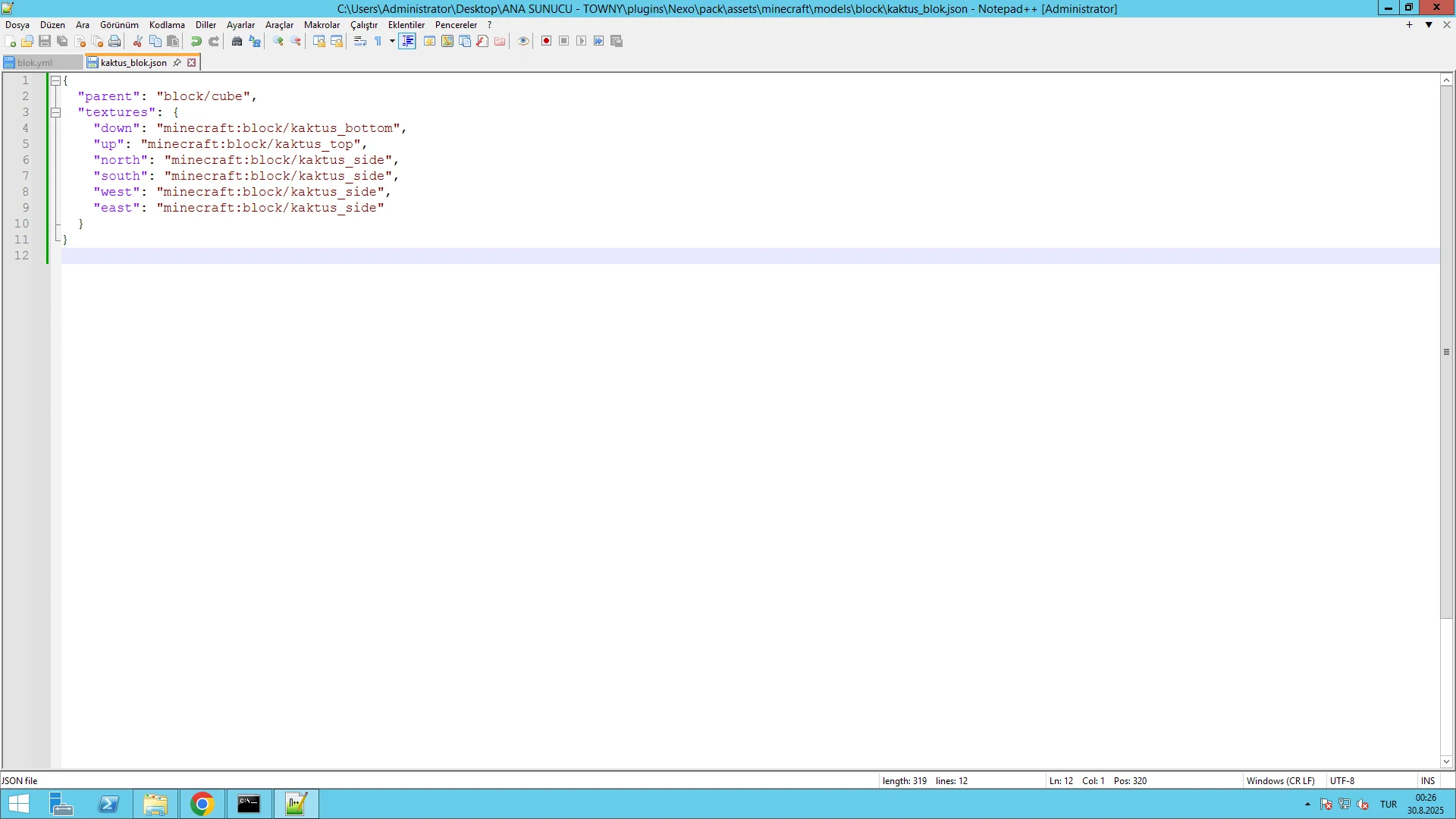 1756416341210.webp