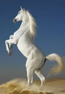 1756846445324.webp