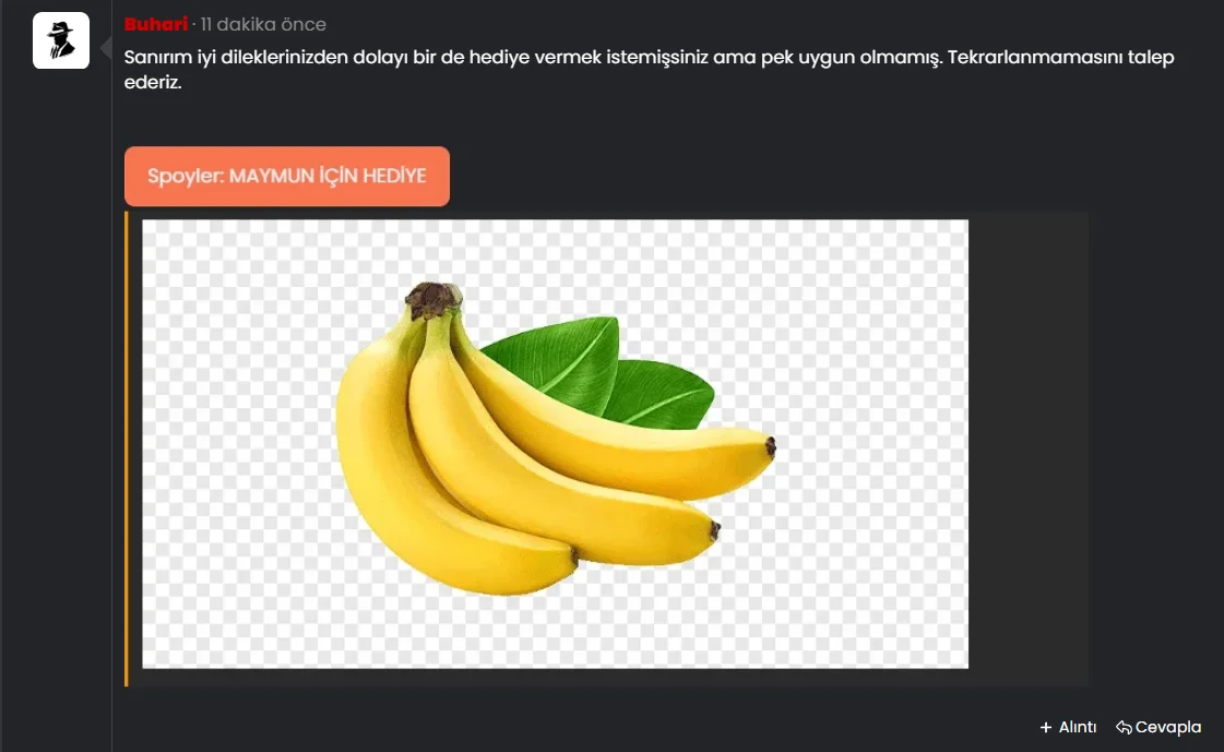 1756892374382.webp
