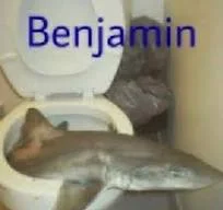 1759588020017.webp