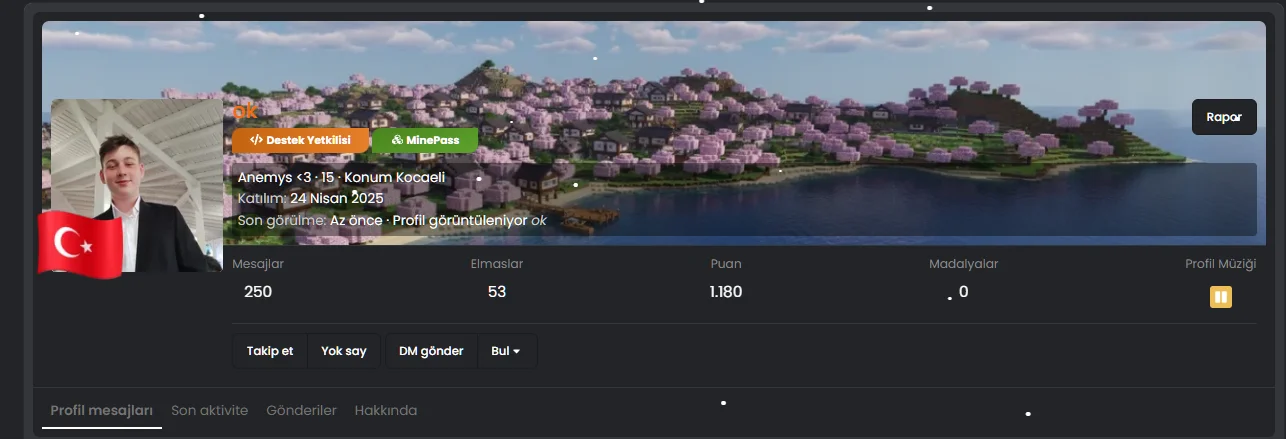 1766256910944.webp