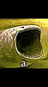 1768733907365.webp