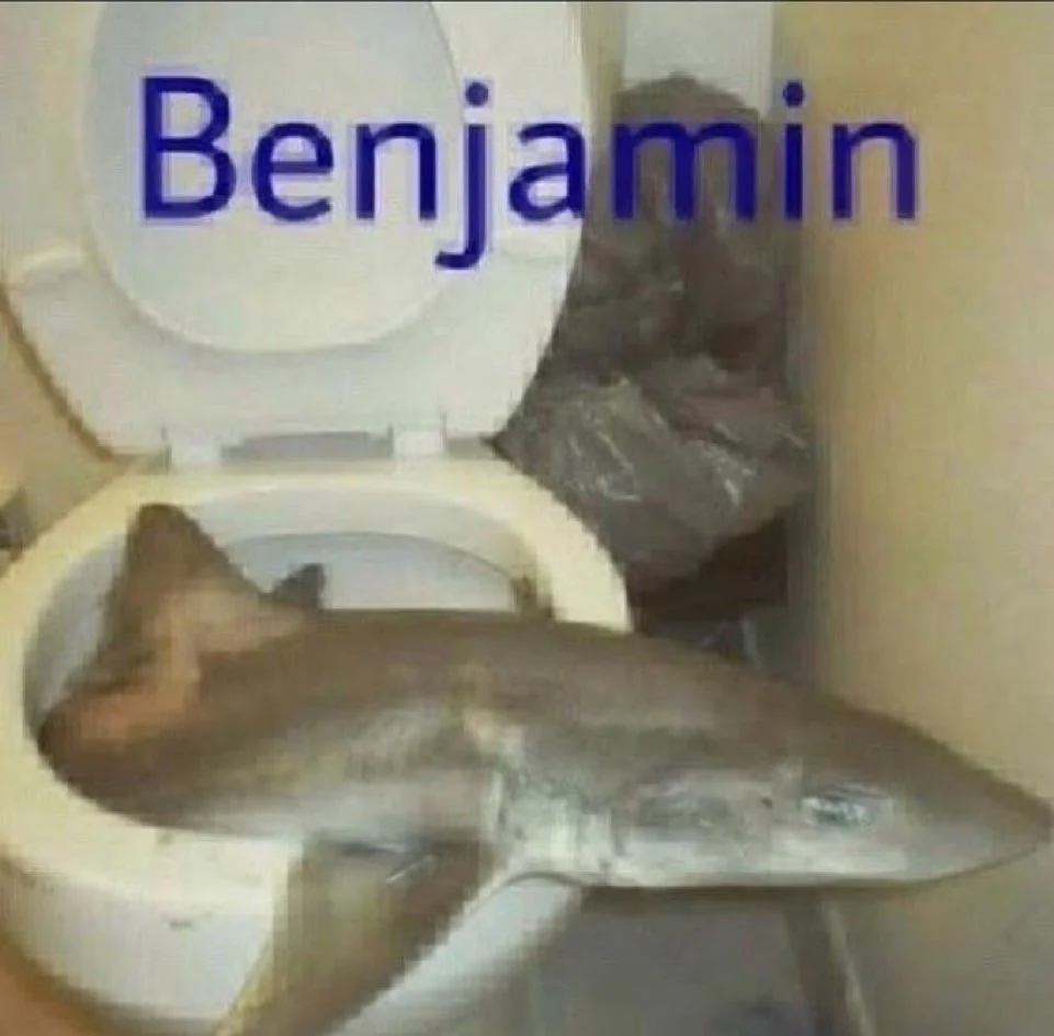 1768928113520.webp