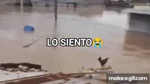 1771963596429.webp