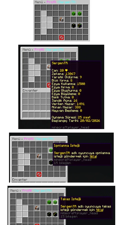 1772733257208.webp