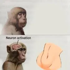 1778023892100.webp