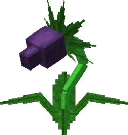 1780172879867.webp