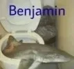 1780511392056.webp