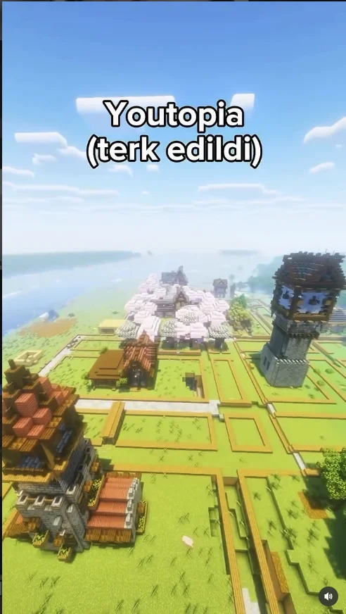 1781359279378.webp