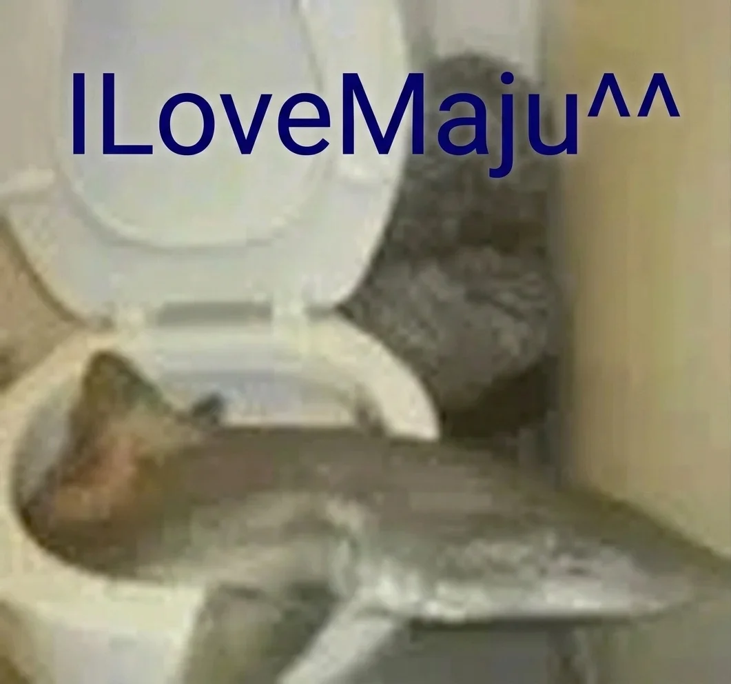 1783009716579.webp