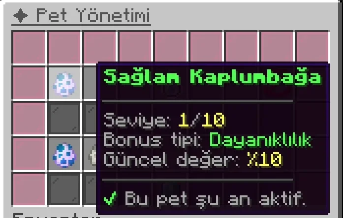 1785663978397.webp