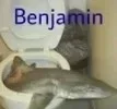 1786119533099.webp