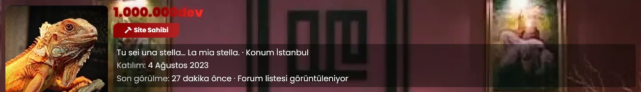 1786278424020.webp