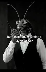1791761771929.webp