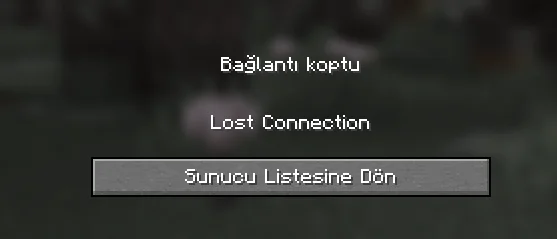 1791826239219.webp