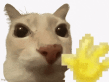 1792430800680.gif