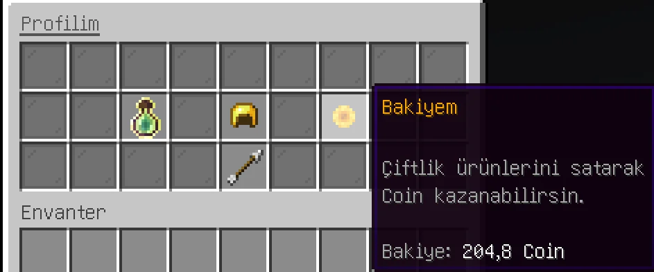 18.webp