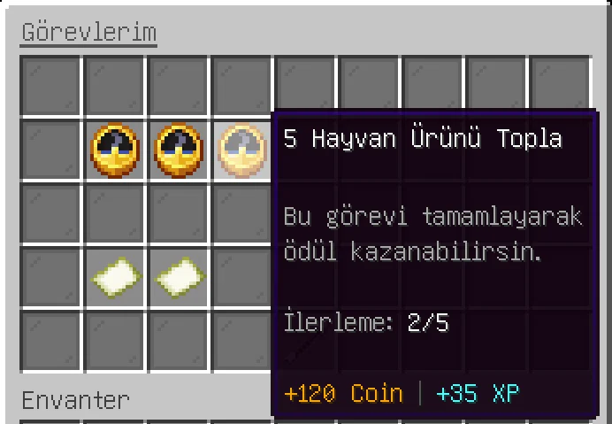 19.webp